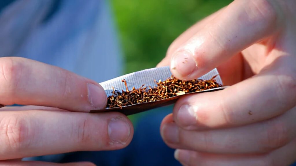 Poland Nicotine Pouch Law