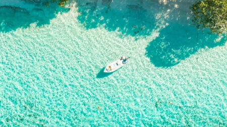 Maldives Tobacco Ban, Generational Ban