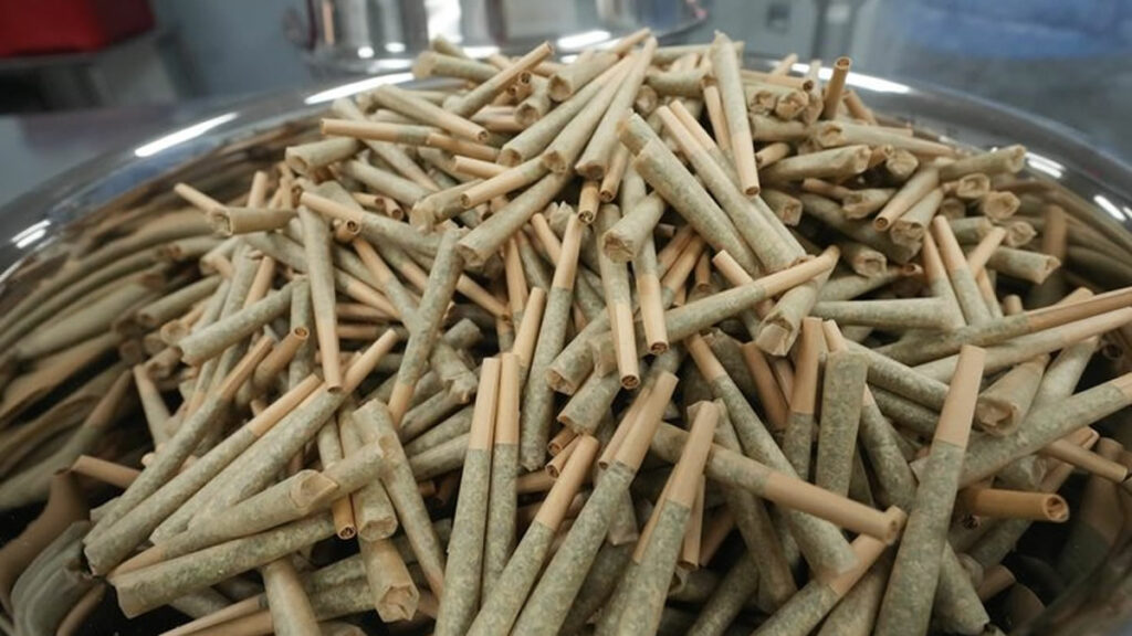 Trump Marijuana Reclassification, Schedule III Drug