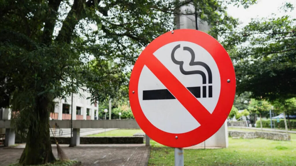 Baden-Württemberg smoking ban, Germany vape fine